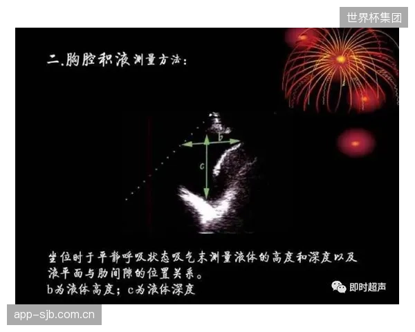 Jantex为中国队提供的奥运定制桨，首次引入超声C扫描以验证树脂固化度的均匀性